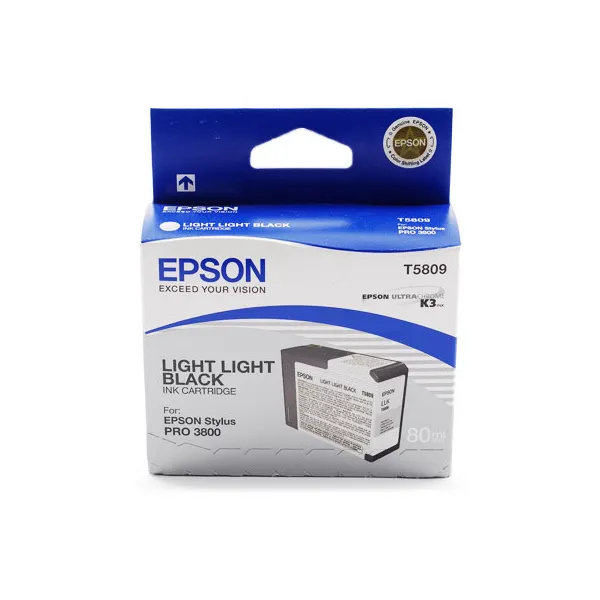 Картридж T580900 світло світло-чорний Epson (C13T580900)